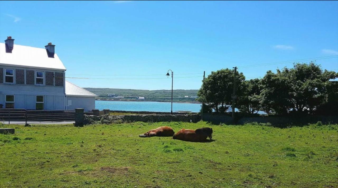 Seacrest B&B Kilronan  Экстерьер фото
